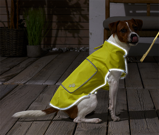 Hunde-Leuchtweste online bestellen bei Tchibo 612414