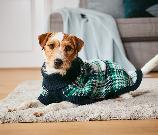 Hunde-Pullover online bestellen bei Tchibo 620169